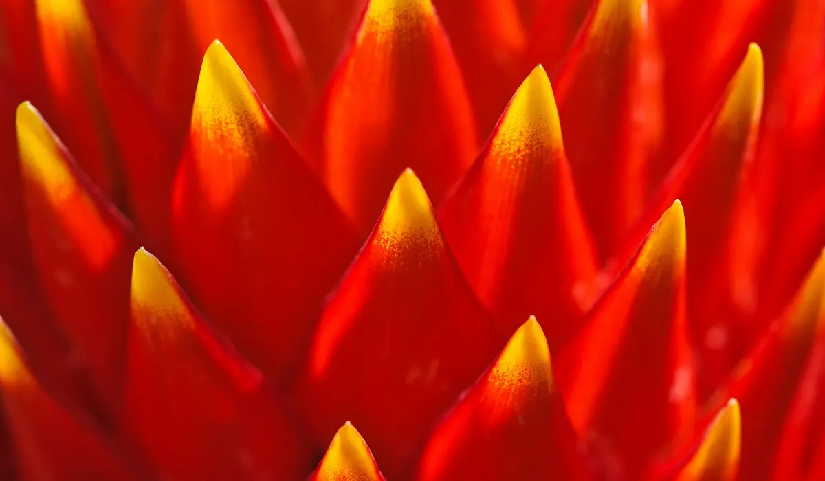 background2